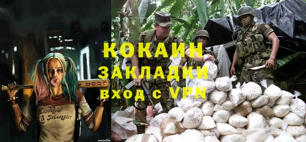 ГАЛЛЮЦИНОГЕННЫЕ ГРИБЫ Белокуриха
