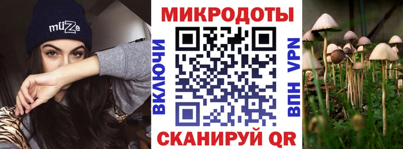 Псилоцибиновые грибы Psilocybe  Мглин 
